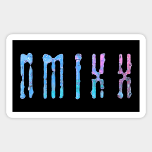 NMIXX Logo Magnet